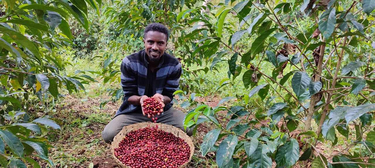 Ethiopian Coffee Story